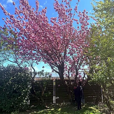 Pretty In A Former Nursery
